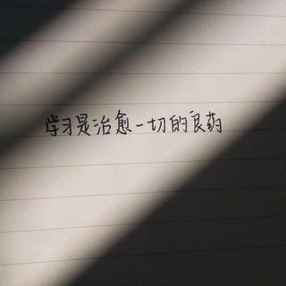 写作业专用纯音乐(◦`~´◦)