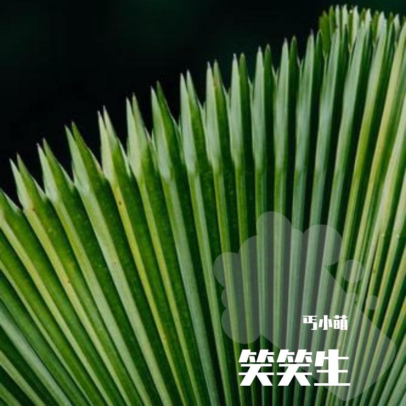 笑笑生（小少年儿）