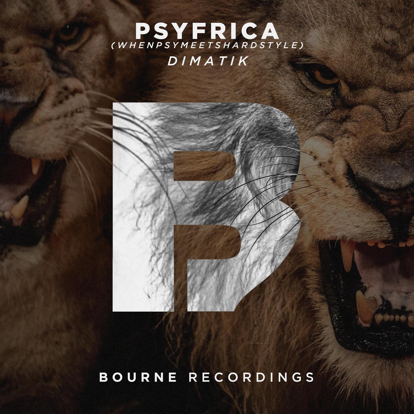 Psyfrica (When Psy Meets Hardstyle)专辑