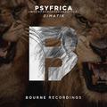 Psyfrica (When Psy Meets Hardstyle)