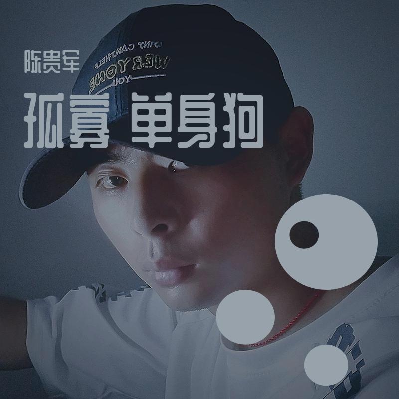 半阳-孤寡单身狗（陈贵军 remix）