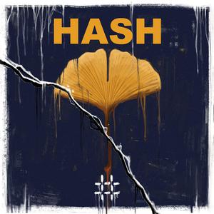 HASH乐队 - Circle(伴奏) 制作版
