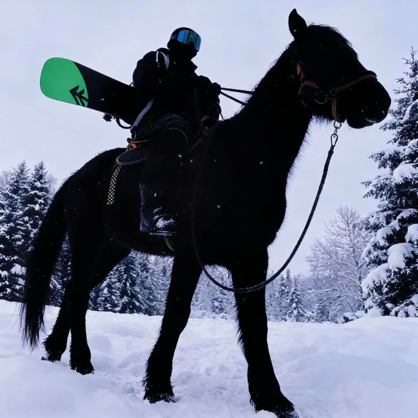 Ambition 2 (凌云志Slow)