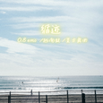 循迹 0.8 emo/越南鼓/复古舞曲