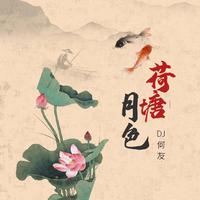 凤凰传奇 -《闹花灯》完整版 正月十五闹花灯 阖家团圆齐欢 伴奏（精消）纯伴奏