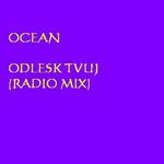 Odlesk tvuj (Radio Mix)专辑