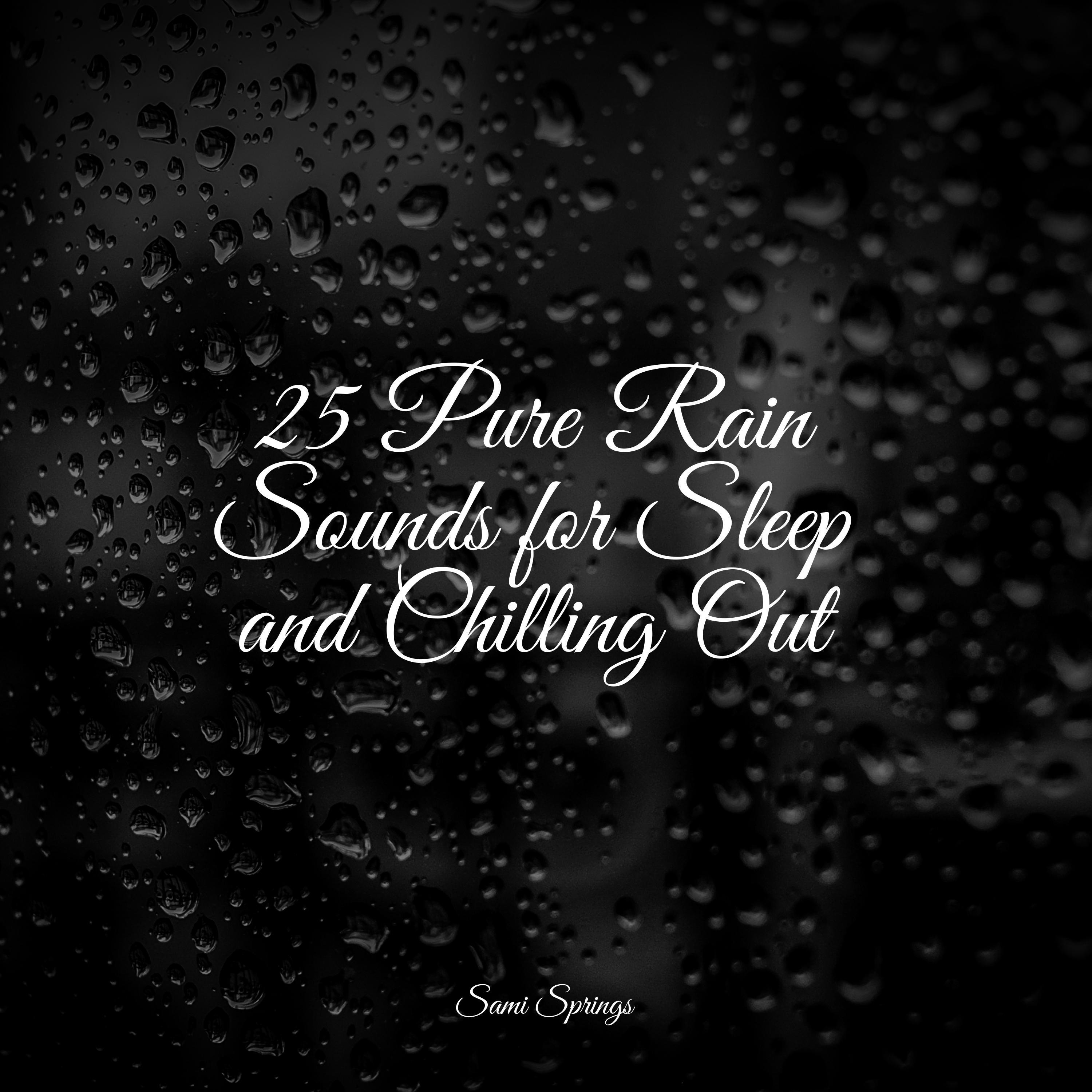 Pro Sound Effects Library - Splish Splash Rains