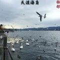 天涯海角