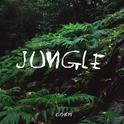 Jungle专辑