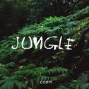 Jungle专辑