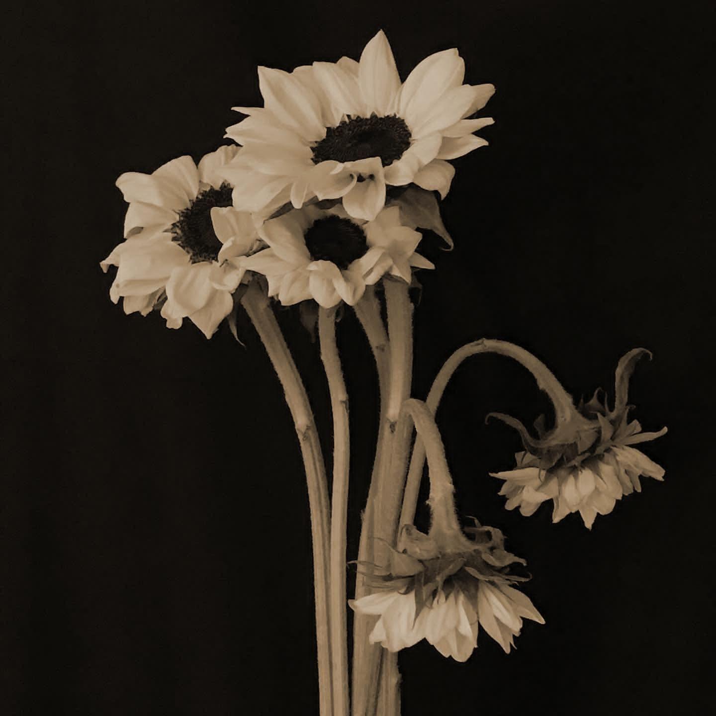 如果的事（CVPPY Slap House）