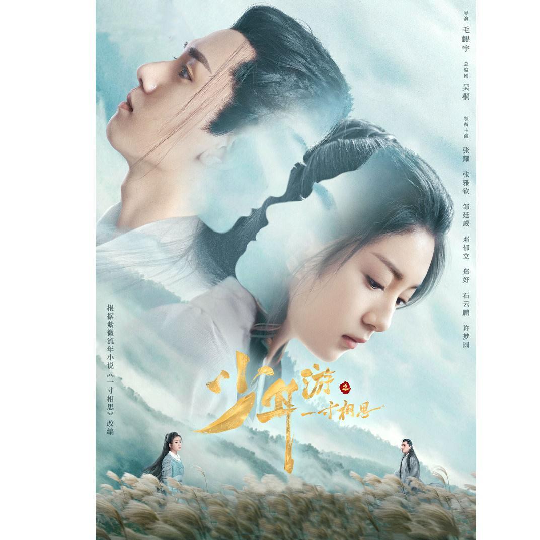 九愿，少年游，霍尊，少年游之一寸相思片尾曲