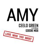 Amy专辑