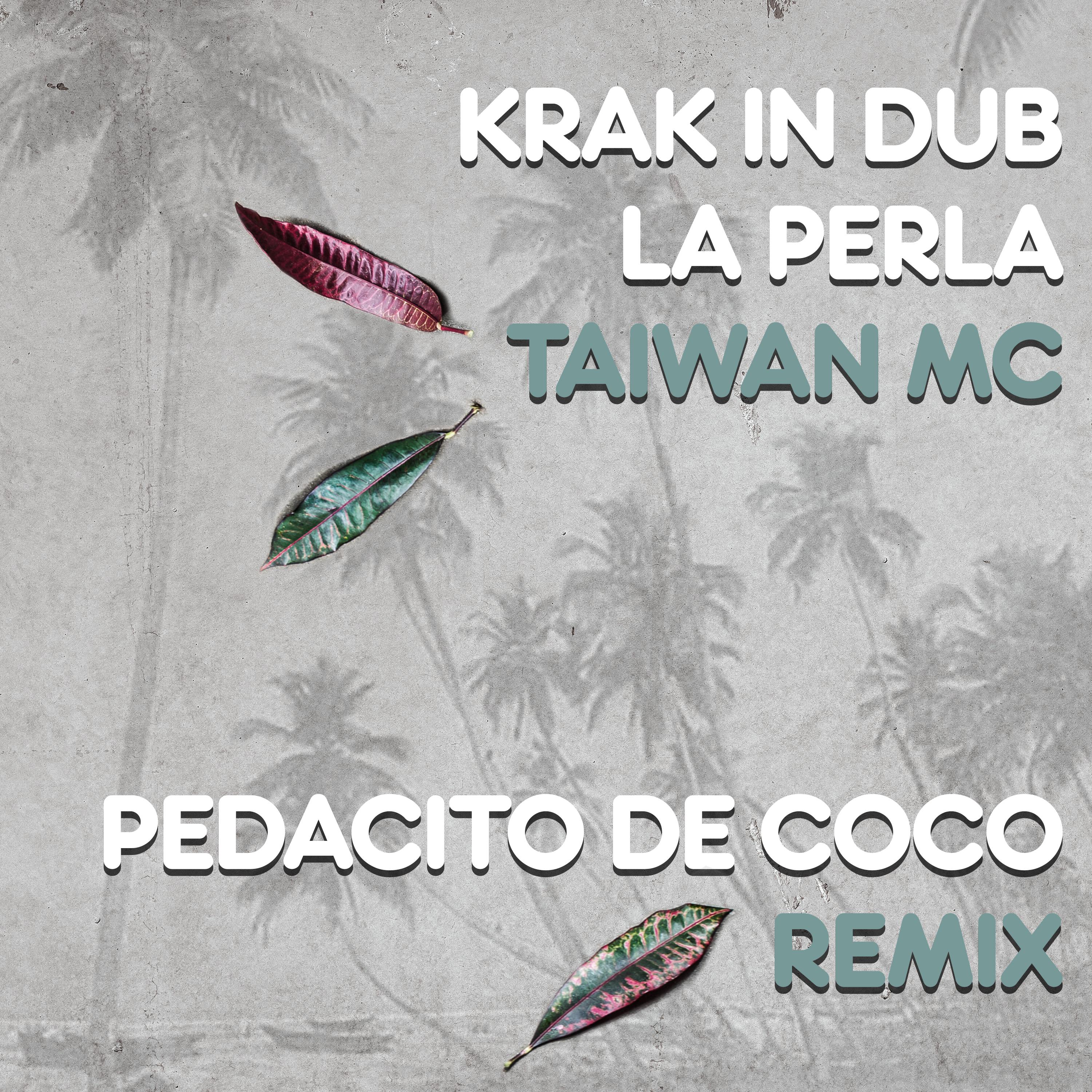Krak In Dub - Pedacito De Coco (Remix)