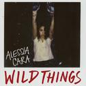 Wild Things专辑