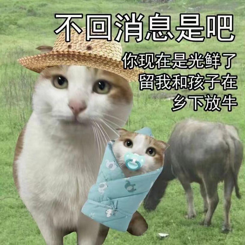 混沌