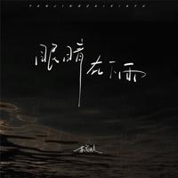 苏星婕 - 下雨夜 (DJ沈念Remix版)