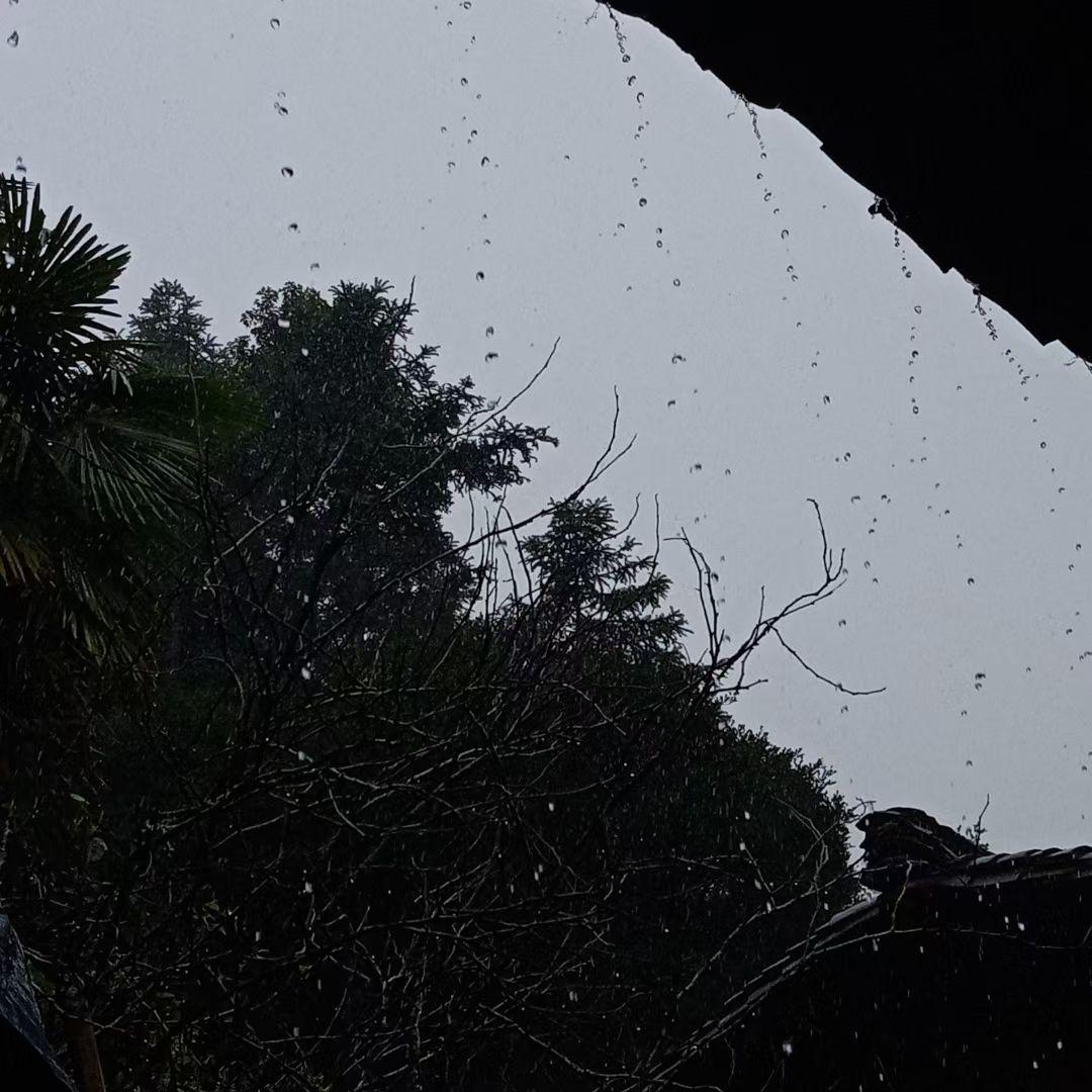 悔意雨季