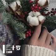 二十岁