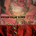 NEVER CALM DOWN