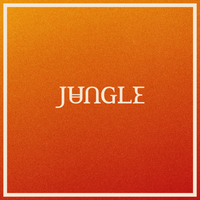 Jungle - Back On 74 (BK Karaoke) 带和声伴奏
