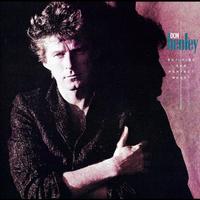 All She Wants To Do Is Dance - Don Henley (unofficial Instrumental)