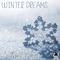 Winter Dreams A Piano Collection to Rest Mind and Soul专辑