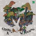 Wonderland Remixed专辑