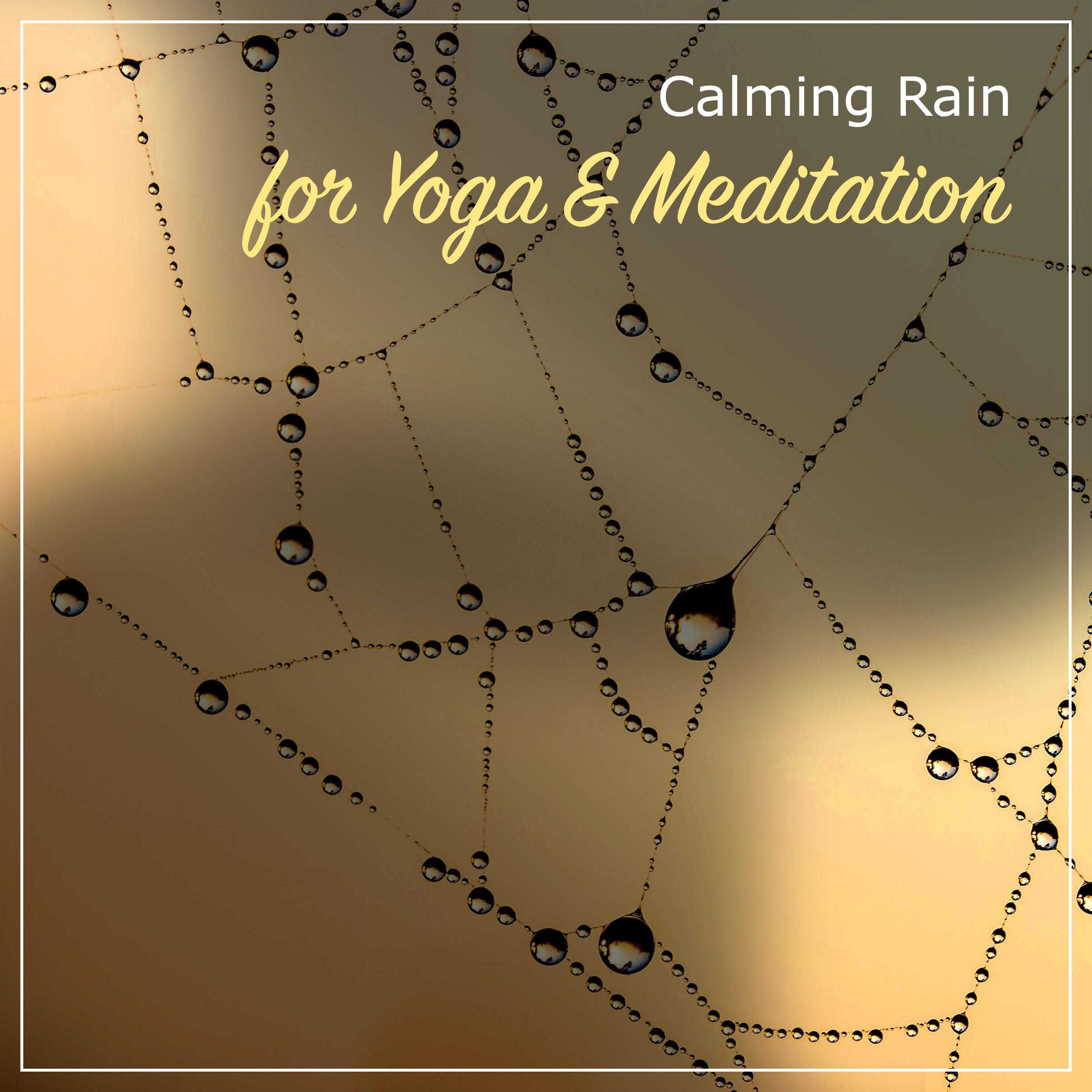 11 Calming Rain Album to Relieve Stress专辑