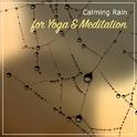 11 Calming Rain Album to Relieve Stress专辑