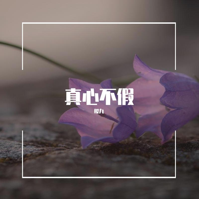 真心不假（翻唱）