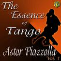 The Essence of Tango: Astor Piazzolla, Vol. 1