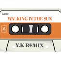 WALKING IN THE SUN（Y.K REMIX）专辑