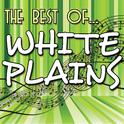 The Best Of White Plains专辑