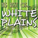 The Best Of White Plains专辑