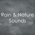 19 Rainy Day Tracks, Springtime Rain Sounds