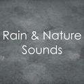 19 Rainy Day Tracks, Springtime Rain Sounds专辑