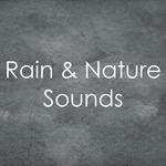 19 Rainy Day Tracks, Springtime Rain Sounds专辑