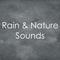 19 Rainy Day Tracks, Springtime Rain Sounds专辑