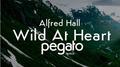 Wild at Heart (Pegato Remix).专辑