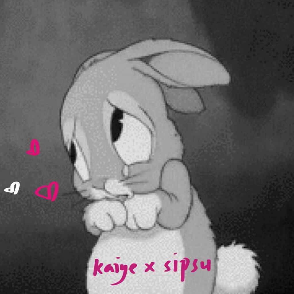 假的童话（feat sipsu)