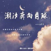 潮汐奔向月球