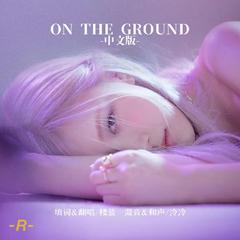 On The Ground（中文版）（翻自 rose）