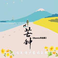 芒种 (Remix抖音版)