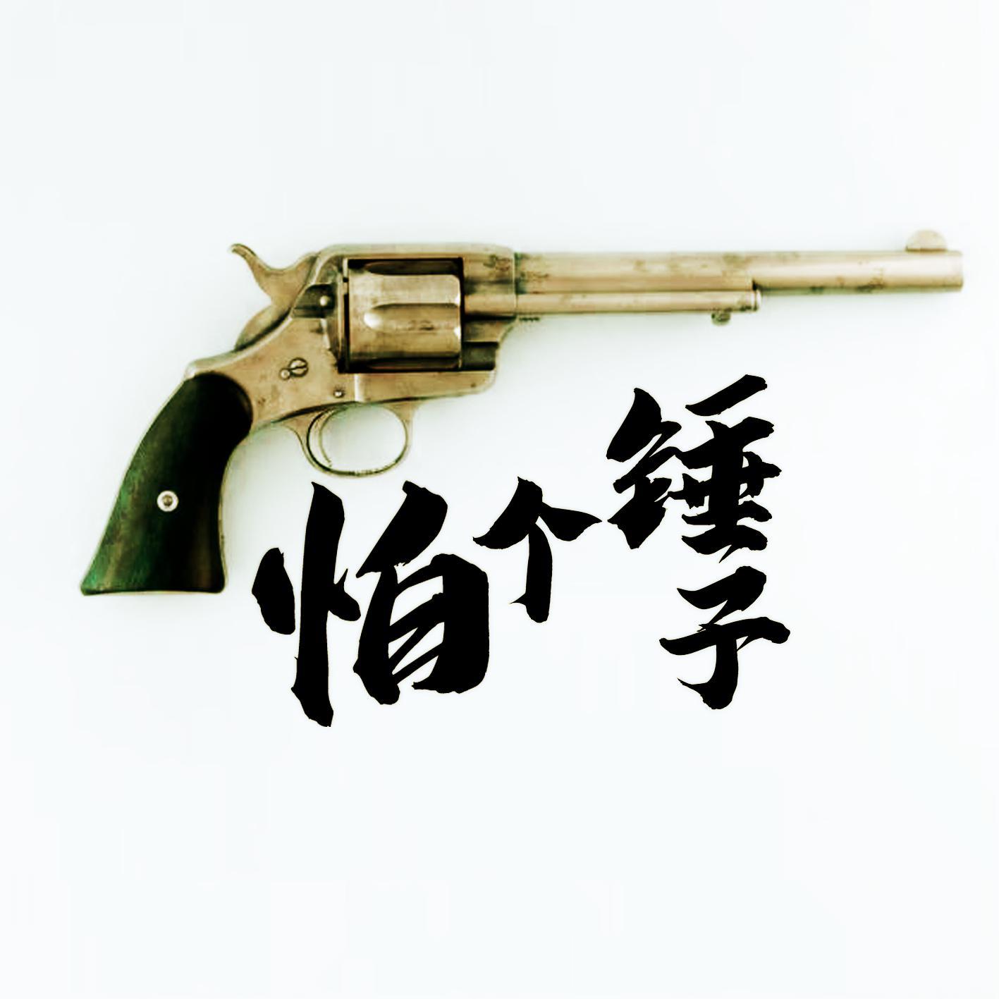 怕个锤子