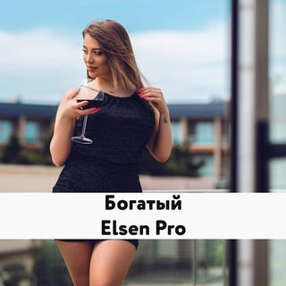 Elsen Pro 歌手 Remix 