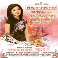邓丽君 - 我怎能离开你(原版伴奏)
