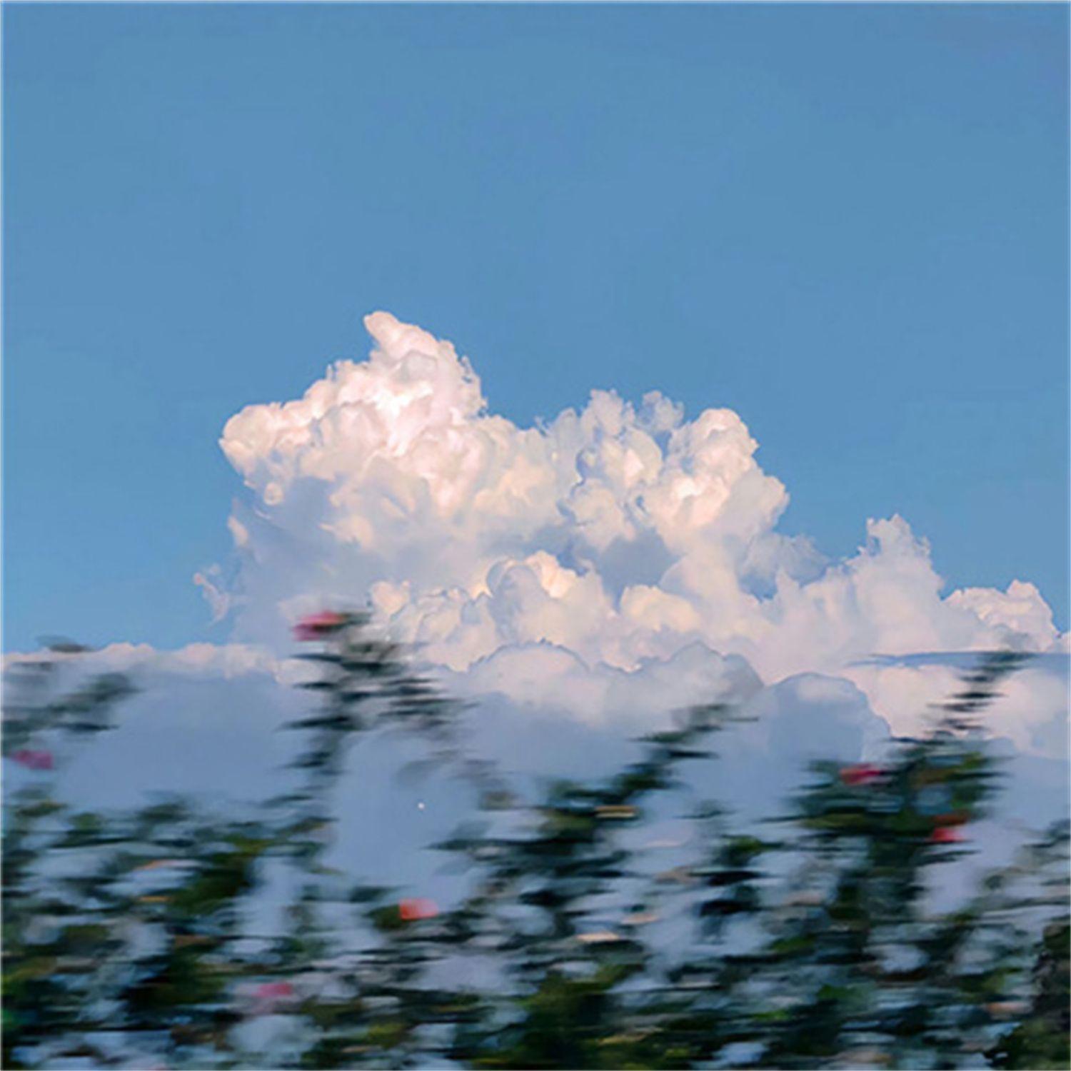 理想型