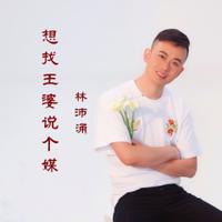 林沛涌 - 想找王婆说个媒（原版伴奏）