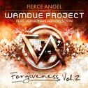 Fierce Angel Presents Wamdue Project - Forgiveness, Vol. 2专辑